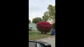Michael Myers Decoration On Neighborhood Roof