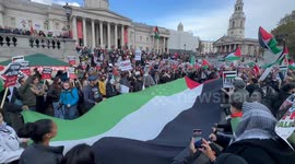 Thousands filled London’s Trafalgar Square for a rally calling for ceasefire in Palestine