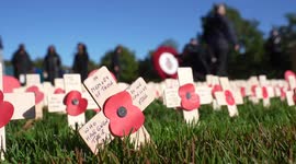 Over 10,000 individual tributes displayed across the Field of Remembrance in Alrewas, UK