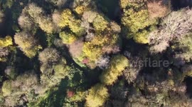 Drone footage of autumn colours in Bristol, UK