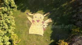 Chinese university cleaners create huge Pikachu artwork from fallen leaves