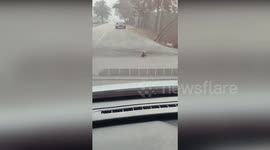 Woman helps a stray cat with bag stuck on its head