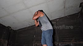 Snake wranglers smash holes in ceiling to catch python hiding inside
