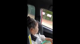 Little girl bursts into tears when zoo giraffe pokes head into car for some carrots