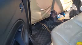 Pensioner finds deadly king cobra slithering past her feet inside sedan