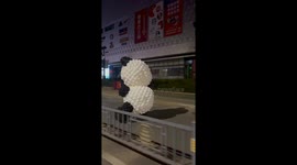 Runaway Inflatable Panda Running on Street Shocks Chinese Citizens