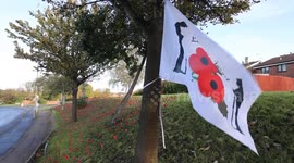 More than 2,000 poppies made from plastic bottles have been planted on a Black Country roadside