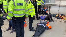 Chaos in Whitehall as police arrest dozens of Just Stop Oil activists