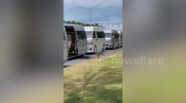 Monkey hisses at driver when caught climbing inside tourist van