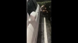 Driver rescues cat stuck under car during storm in Thailand