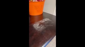 Clever Lifehack To Remove Wood Stains
