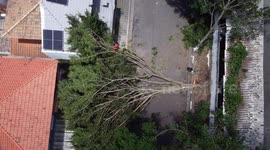 Powerful winds cause destruction and power outages in Sao Paulo, Brazil