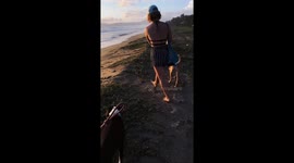 Helping a Turtle Stuck on the Beach
