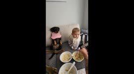 Family Lunch