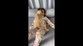 Pet cat adorably cuddles little girl while she sleeps