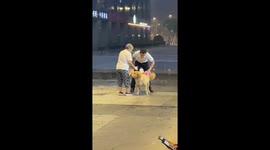 Kind security guard helps elderly woman wipe her rain-soaked dog's fur