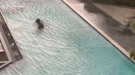 Chairs blown into pool by strong storm in Thailand