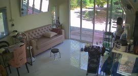 Terrified beautician runs for her life when cobra enters salon