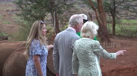 King and Queen visit an elephant orphanage in Kenya