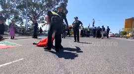 Australia: 3 Arrested After Pro-Palestine Protest Staged Near Melbourne Cup 2