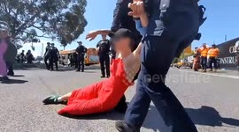 Arrests made as pro-Palestine activists stage protest near Melbourne Cup venue