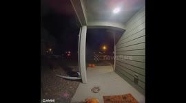 Adult Allegedly Steals Halloween Candy