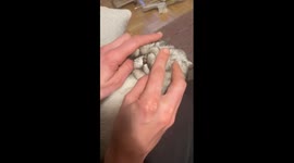Playful cat game: 'who is this baby?