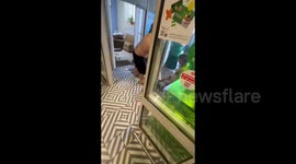 Pregnant girl and companion detained in Kazan store brawl over alleged theft