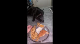 If He Takes The Fry Slowly Maybe It Won't Be Noticed