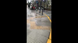 Man Leaves Work to Find Car Crushed By Fallen Tree