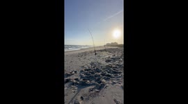 Friends out for fishing on a beach have a bonding time together *Wholesome*