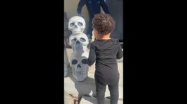 Toddler has a fun time playing with Halloween decoration Skulls