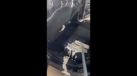 When You Try to Detail Your Car for Cheap