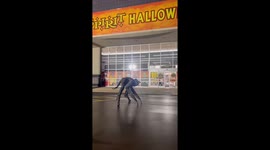 Ghoul spreads spooky delight at Spirit Halloween in Appleton, Wisconsin