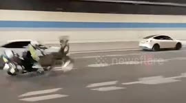 Escaped ostrich leads traffic police on frantic highway chase during morning rush hour in China