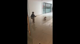Heartwarming Moment: Child and Corgi Play Soccer in China