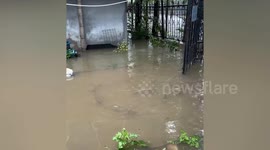 Fish swim through flooded streets during floods in China