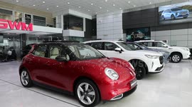 Chinese EVs gaining popularity in Iraq