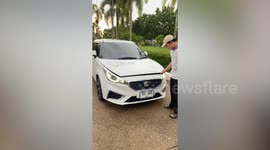 Driver saves and adopts stray cut found stuck in engine of his MG car