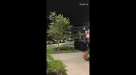 'Not just a dog, she's family!' - Adorable Golden Retriever gets a triumphant welcome back home