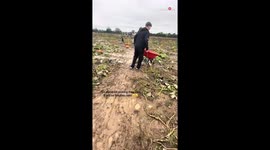 Nature pranks excited family by muddying their 'Pumpkin Picking' plans