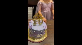 10 y/o girl accidentally drops new iPhone at her birthday party