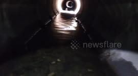 Animal rescuer crawls under drain to save kitten