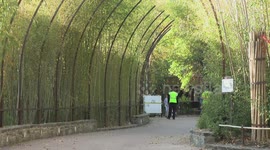 3 giant pandas on journey back to China from Washington zoo