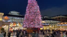 Christmas tree unveiled and lights switched on in London’s iconic Covent Garden