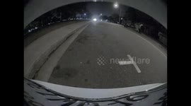 Alleged Hit and Run by Toy Car