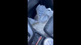 Dog Attacks Flour in Record Time