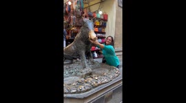 Woman Picks Up Coin That Was Just Thrown in the Fountain