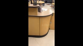 This Dog Is Very Ready To Go Home