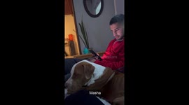 New Owners Discover Dog's Name